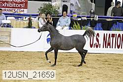 12usn_21659 thumbnail