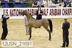 12usn_21691 thumbnail