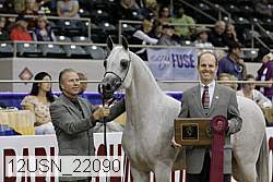 12usn_22090 thumbnail