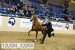 12usn_32958 thumbnail
