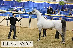 12usn_33062 thumbnail