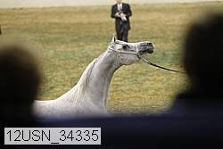 12usn_34335 thumbnail