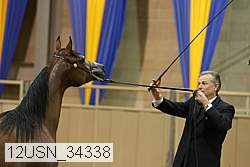 12usn_34338 thumbnail