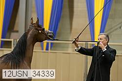 12usn_34339 thumbnail
