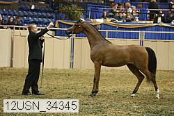 12usn_34345 thumbnail