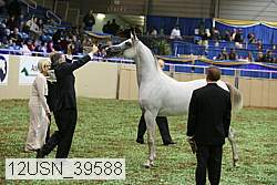 12usn_39588 thumbnail