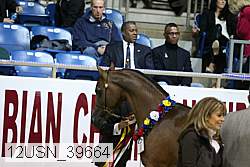 12usn_39664 thumbnail
