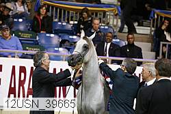 12usn_39665 thumbnail