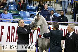 12usn_39666 thumbnail