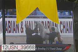 12usn_39668 thumbnail