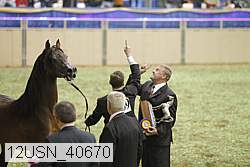 12usn_40670 thumbnail