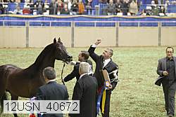 12usn_40672 thumbnail