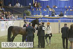 12usn_40676 thumbnail