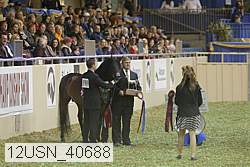 12usn_40688 thumbnail