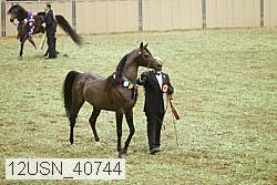 12usn_40744 thumbnail