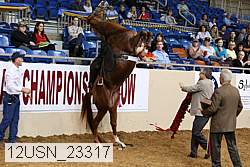 12usn_23317 thumbnail