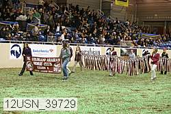 12usn_39729 thumbnail