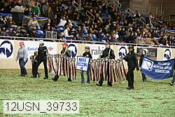 12usn_39733 thumbnail