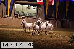 12usn_34736 thumbnail