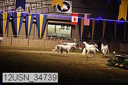 12usn_34739 thumbnail