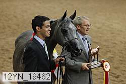 12yn_19462 thumbnail