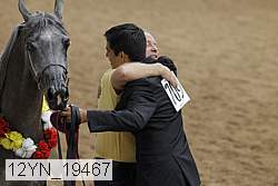 12yn_19467 thumbnail