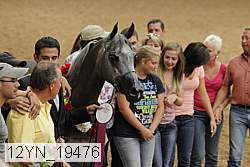 12yn_19476 thumbnail