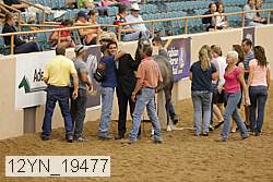 12yn_19477 thumbnail
