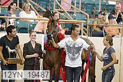 12yn_19487 thumbnail