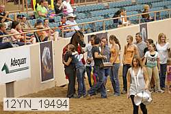 12yn_19494 thumbnail