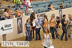 12yn_19495 thumbnail