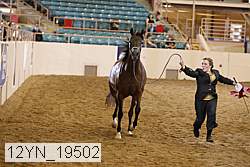 12yn_19502 thumbnail