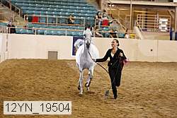 12yn_19504 thumbnail
