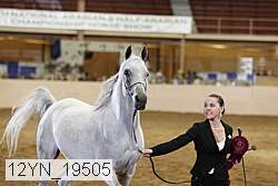 12yn_19505 thumbnail