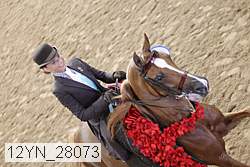 12yn_28073 thumbnail