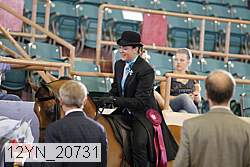 12yn_20731 thumbnail