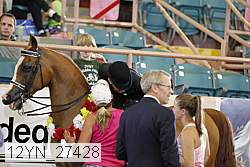 12yn_27428 thumbnail
