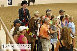 12yn_27448 thumbnail