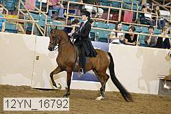 12yn_16792 thumbnail