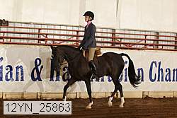 12yn_25863 thumbnail
