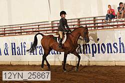 12yn_25867 thumbnail