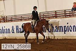 12yn_25868 thumbnail