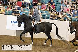 12yn_27071 thumbnail