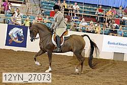 12yn_27073 thumbnail