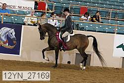 12yn_27169 thumbnail