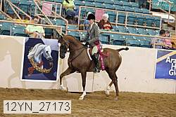 12yn_27173 thumbnail
