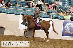 12yn_27179 thumbnail