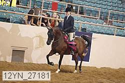 12yn_27181 thumbnail