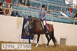 12yn_27188 thumbnail