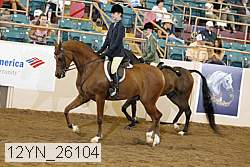 12yn_26104 thumbnail